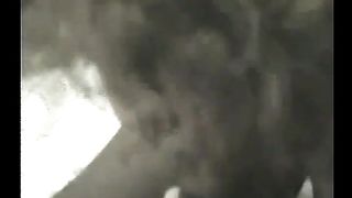 Plump Chick On Ebony Pecker