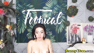 Elegant Dominant Poweful Shemale Tranny4free