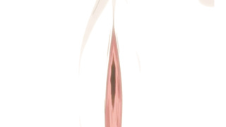 Man schoolgirl has a three-way with 2 cool lecturers