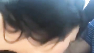 Black-Haired Oral
