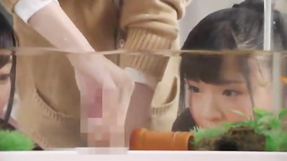 Asian chicks are being fierce with the fish in the tank, because it senses so fine