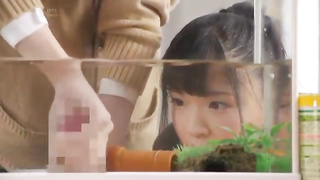 Asian chicks are being fierce with the fish in the tank, because it senses so fine