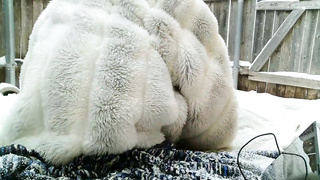 Huge-Chested female is fapping in the backyard while it's snowing and liking it a pile