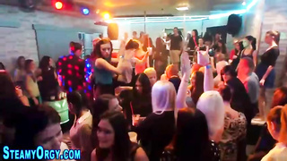 Wild damsels are frequently partying in the local night bar and tearing up random stellar dudes