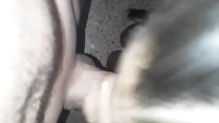 Boinking sasha when she asks me for her lil' food that is my dick