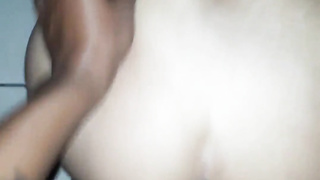 Chocolate-Colored