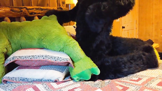 Matrix Smashes Dragon In Cabin