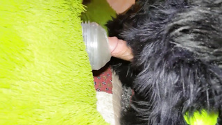 Matrix Smashes Dragon In Cabin