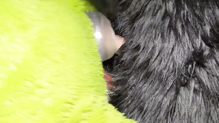 Matrix Smashes Dragon In Cabin