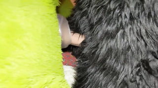 Matrix Smashes Dragon In Cabin