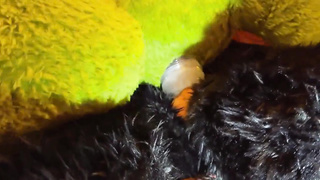 Matrix Smashes Dragon In Cabin