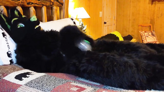 Matrix Smashes Dragon In Cabin