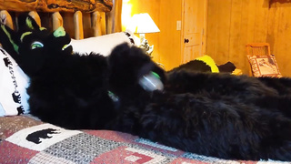 Matrix Smashes Dragon In Cabin