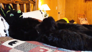 Matrix Smashes Dragon In Cabin