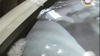 Buxomy inexperienced dark-haired is deep throating many rock rock-hard jizz-shotguns and getting jizz flows after getting humped