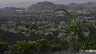 Quinn Wilde is a enrapturing brown-haired who is always in the mood for a rapid boink