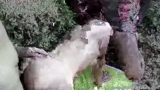 Dutch Stunner Getting Pulverized In The Forest