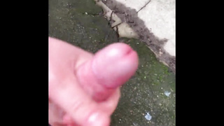 Fresh skin light plaything