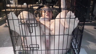 My fuck-a-thon victim plays with herself while locked inwards box