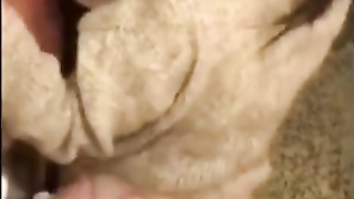 BONING MY TINDER MEETING IN THE RESTAURANT