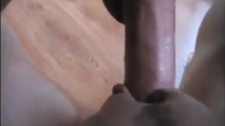 Xxl Wood Porking A Taut Vulva In Close Up Act