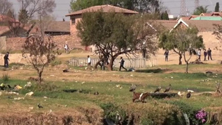 Bootylicious Black Ebony Biotch Tempts Fat Man Meat Tatted Coworker