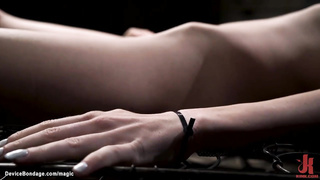 Mounted on wooden poby sub vibrated (Brooke Johnson)