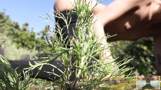 Oh you can't wait until we get home? My gf bullied me into penetrating her in the forest