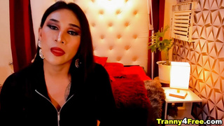 Horny Tranny Showing NiceTits and Jerking