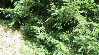 Doll with brief hair is gargling her frend's jizz-shotgun in the nature, during the day