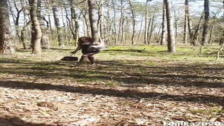 Insatiable, inexperienced lady is using a orgy plaything while jacking in the woods, during the day