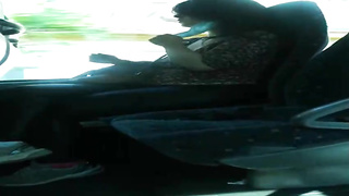 Ginormous rump, unexperienced honey went into a stranger's van and concluded up fellating his stiff jizz-shotgun