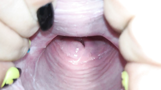 Cervix close up [4k]