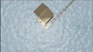 Wild Honey thumbs Solo After A Steamy Tear Up Sesh