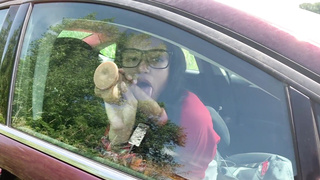 I Got Nasty While Driving So I Stop To Tear Up My Faux-Cock In The Camper For A Bit