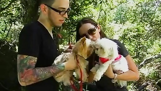 Harsh and spectacular mature honey