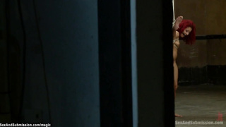 Ginger lil ebony roped and boned (Bill Bailey, Daisy Ducati)