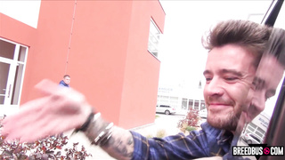 Blondie nailed on the BreedBus