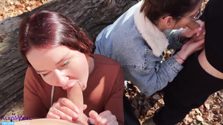 Compilation two fledgling fourways with our mates ChihuahuaSU