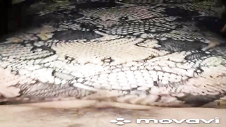 Mature chick in glamour clothes is railing a rock rock-hard fuckpole like a real professional