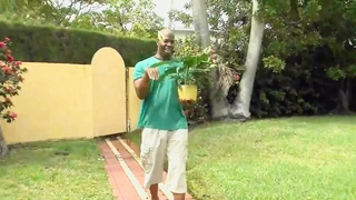 PLUS-SIZE Twilight Starr Multiracial