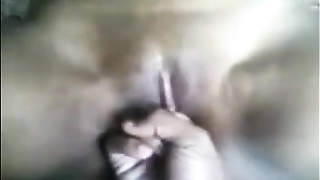 Wondrous Sri Lankan Stunner