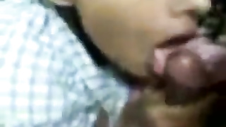 Wondrous Sri Lankan Stunner