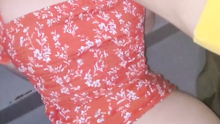 Vid 1