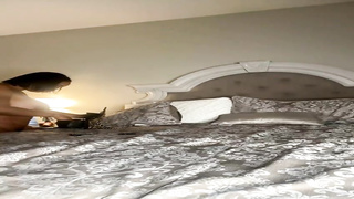 Ms Fernandesms fernandes