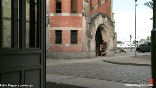 European honey plumbed at public places (Tommy Pistol)