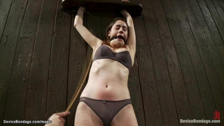 Strapped gimp in undergarments lashed (Lori Uber-Cute)