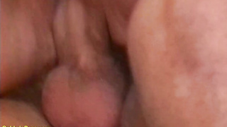 plus-size monster breast sister in law banged