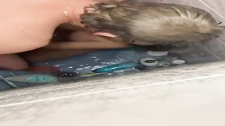 Fuckpole liking light-haired is providing a bj to a pal, while they are having a bathroom together