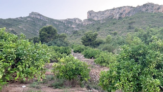 Bogini Gypsy Princess ostro wyjebana w dupę w miejscu publicznym!!